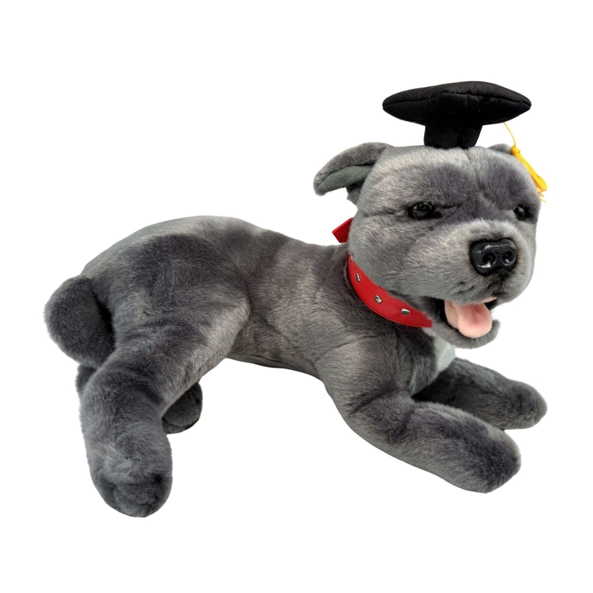 Bocchetta Flint 35cm Lying Graduation Staffy Plush Toy - Grey (Stuffed Animal Dog Grad Gift)