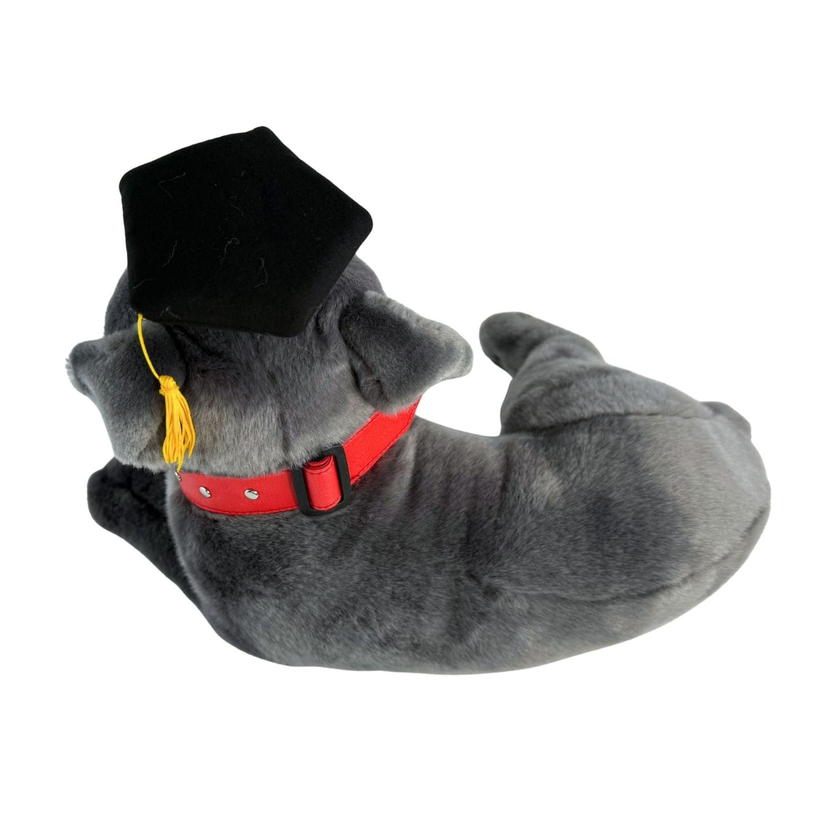 Bocchetta Flint 35cm Lying Graduation Staffy Plush Toy - Grey (Stuffed Animal Dog Grad Gift)