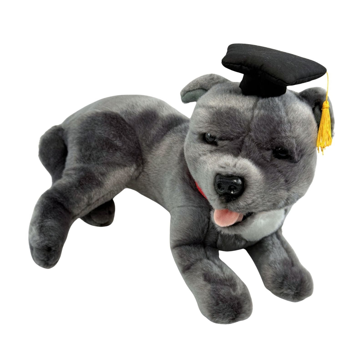 Bocchetta Flint 35cm Lying Graduation Staffy Plush Toy - Grey (Stuffed Animal Dog Grad Gift)