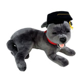 Bocchetta Flint 35cm Lying Graduation Staffy Plush Toy - Grey (Stuffed Animal Dog Grad Gift)