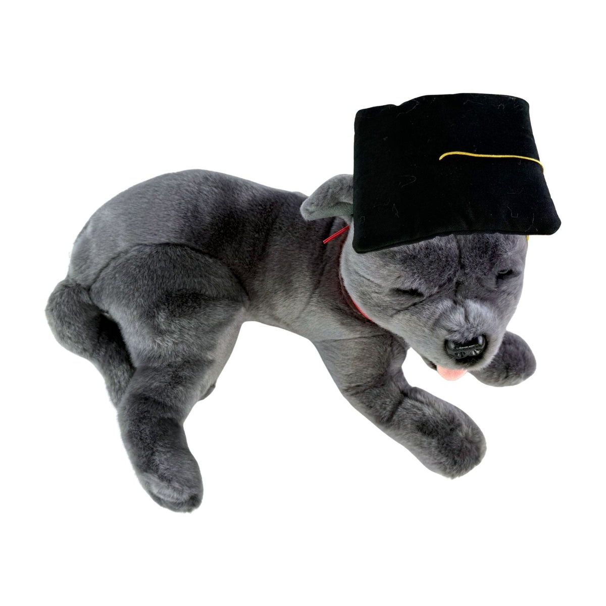 Bocchetta Flint 35cm Lying Graduation Staffy Plush Toy - Grey (Stuffed Animal Dog Grad Gift)