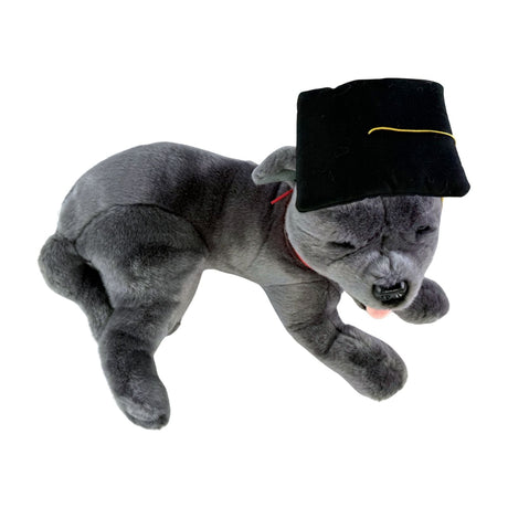 Bocchetta Flint 35cm Lying Graduation Staffy Plush Toy - Grey (Stuffed Animal Dog Grad Gift)