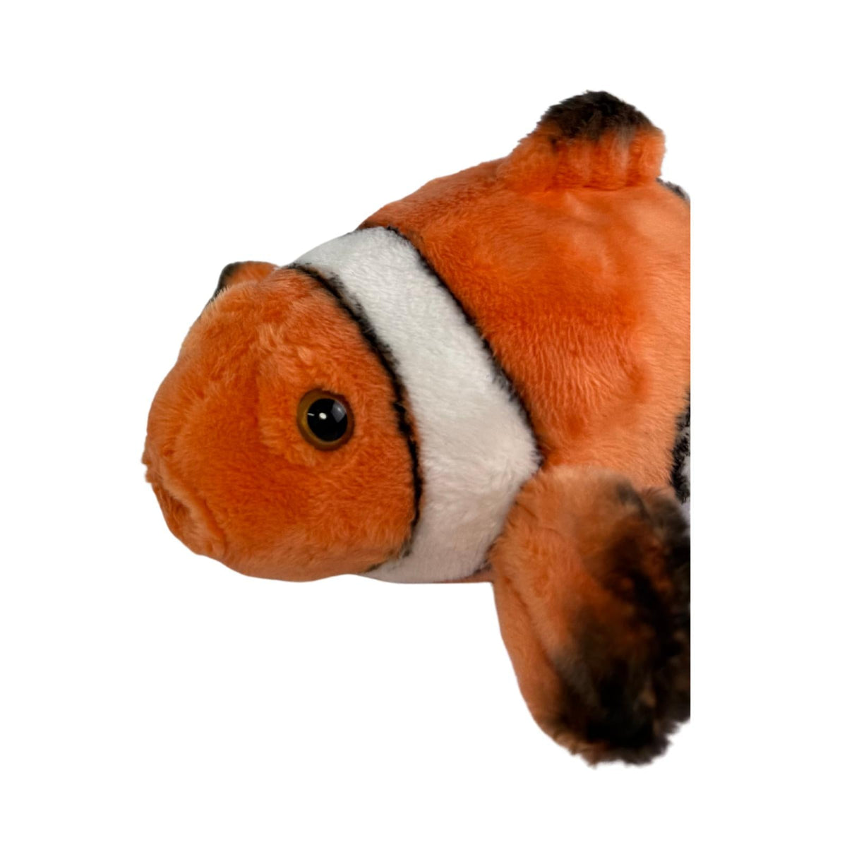 Bocchetta Flip 22cm Clownfish Plush Toy (Realistic Stuffed Animal Sea Life Gift)