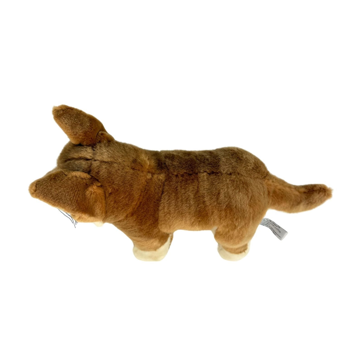 Bocchetta Frazer 25cm Standing Dingo Plush Toy - Tan (Australian Stuffed Animal Souvenir Gift)