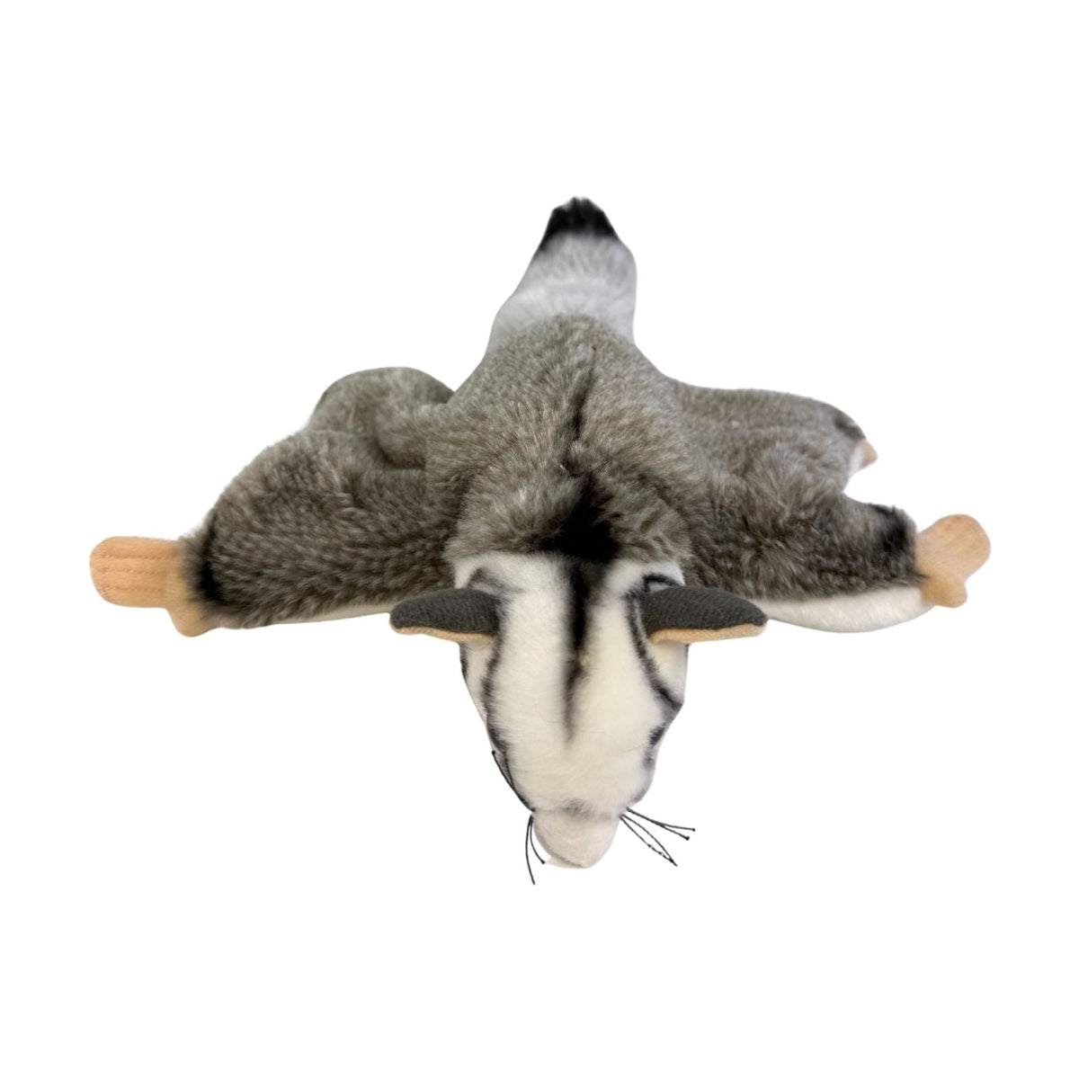 Bocchetta Frisbee 18cm Squirrel Glider Plush Toy (Australian Stuffed Animal Souvenir Gift)