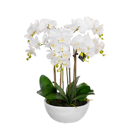 55cm Faux Phalaenopsis Orchid in Pot Artificial Plant Flower Home Office Decor