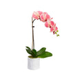 48cm Potted Phalaenopsis Orchid in Pot Fake False Artificial Flowers  - Mauve