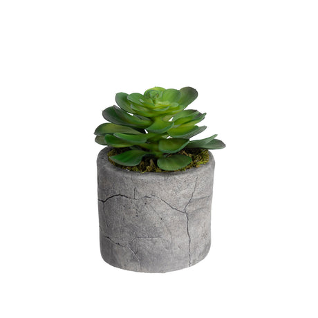 Assorted Succulents in Pot Set of 4pcs Artificial Green Plant Flower Cactus