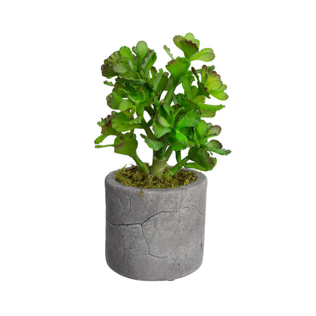 Assorted Succulents in Pot Set of 4pcs Artificial Green Plant Flower Cactus