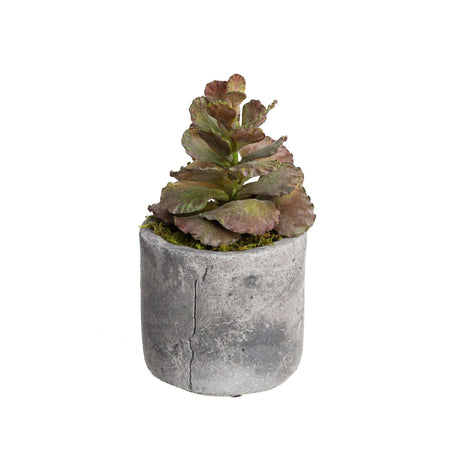 Assorted Succulents in Pot Set of 4pcs Artificial Green Plant Flower Cactus
