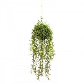 60cm Moss Ball w Senecio Hanging Artificial Plant Flower (with Rope) Fake