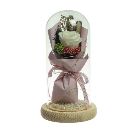 Preserved Dried Rose Flower 21cm Floral Set in Glass Dome w/ Fairy Lights in White Cream