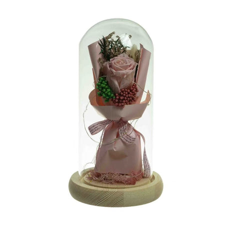 Preserved Dried Rose Flower 21cm Floral Set in Glass Dome w/ Fairy Lights in Pink