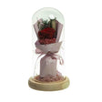 Preserved Dried Rose Flower 21cm Floral Set in Glass Dome w/ Fairy Lights in Red