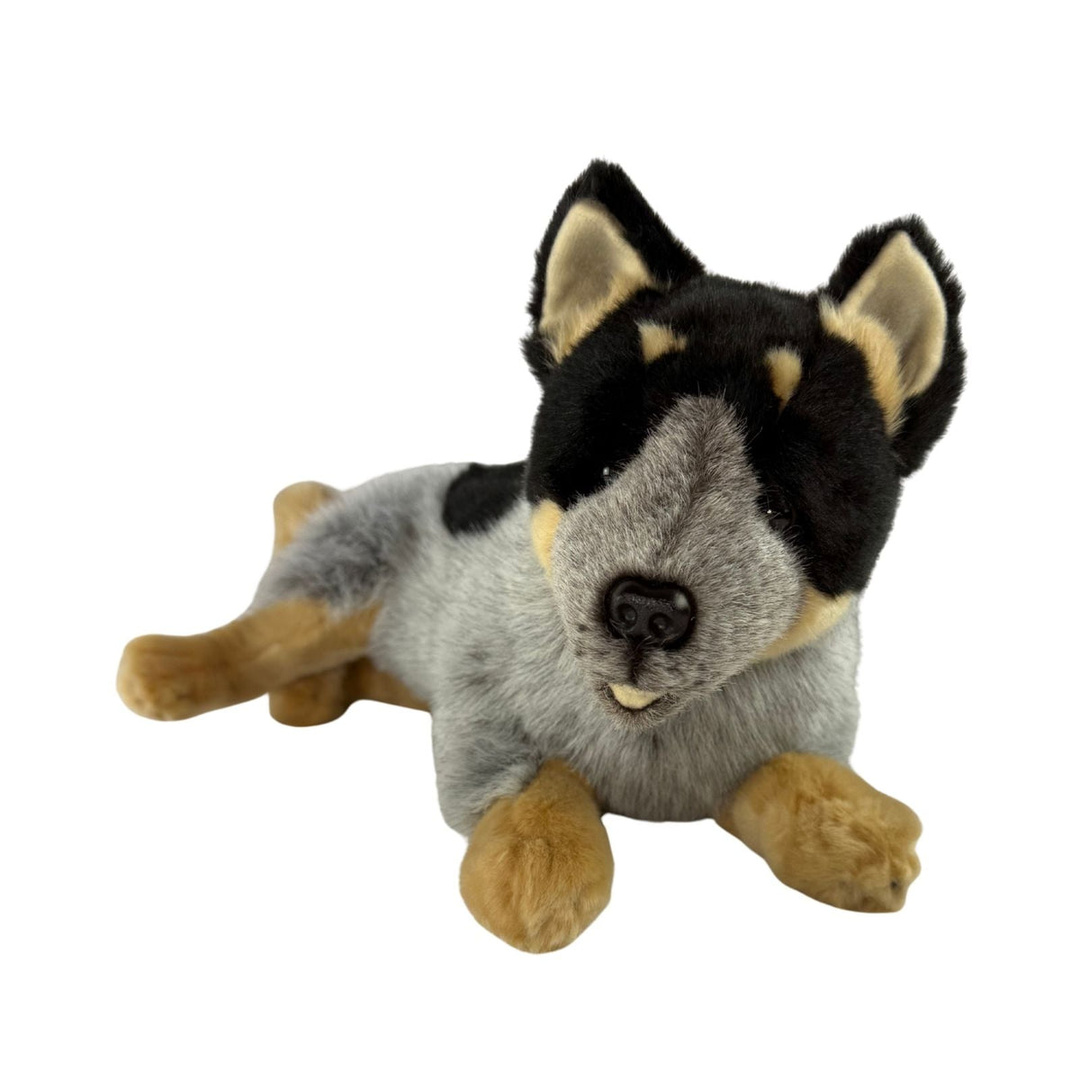 Bocchetta Gallagher 35cm Lying Blue Heeler Cattle Dog Plush Toy (Australian Stuffed Animal Gift)