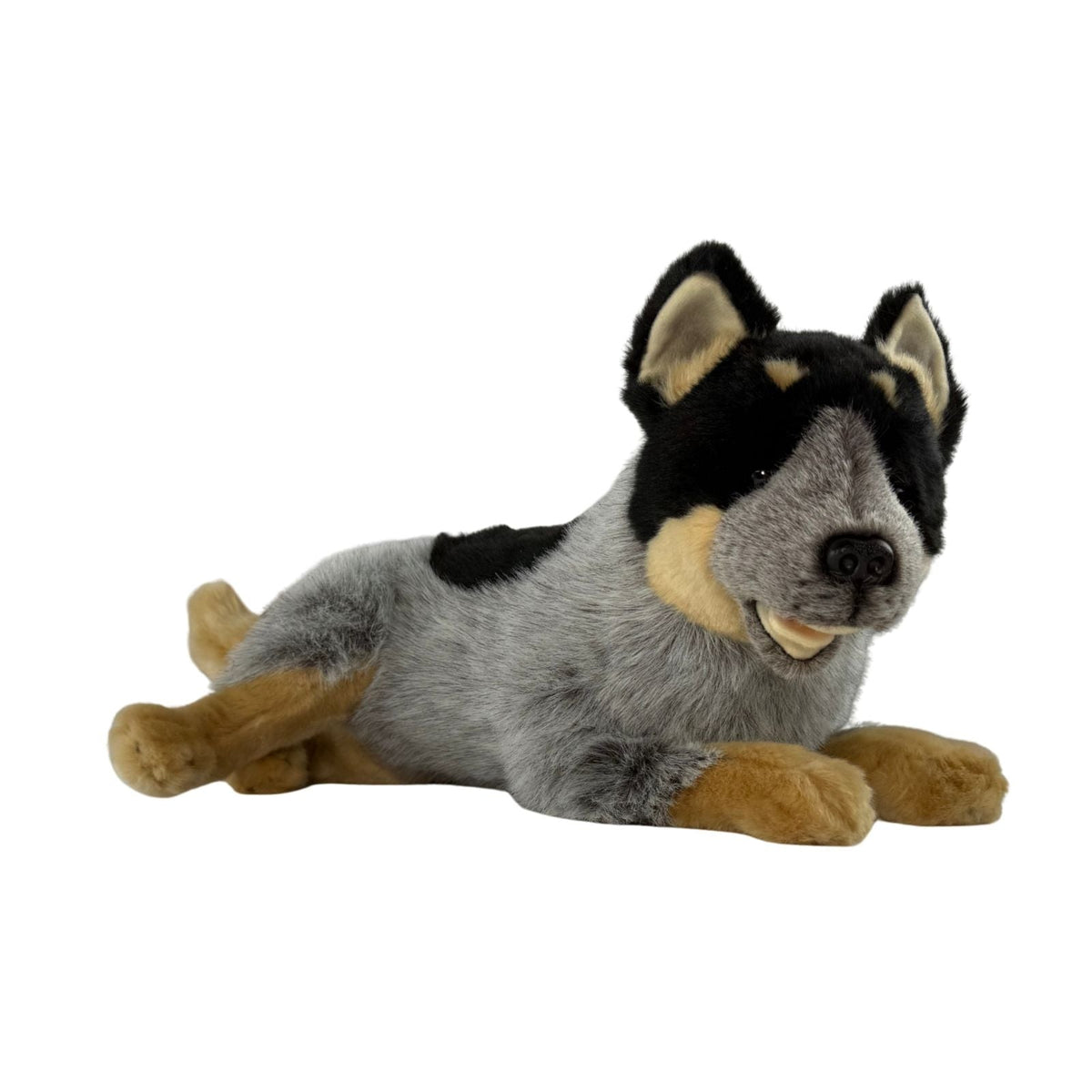 Bocchetta Gallagher 35cm Lying Blue Heeler Cattle Dog Plush Toy (Australian Stuffed Animal Gift)