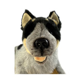 Bocchetta Gallagher 35cm Lying Blue Heeler Cattle Dog Plush Toy (Australian Stuffed Animal Gift)