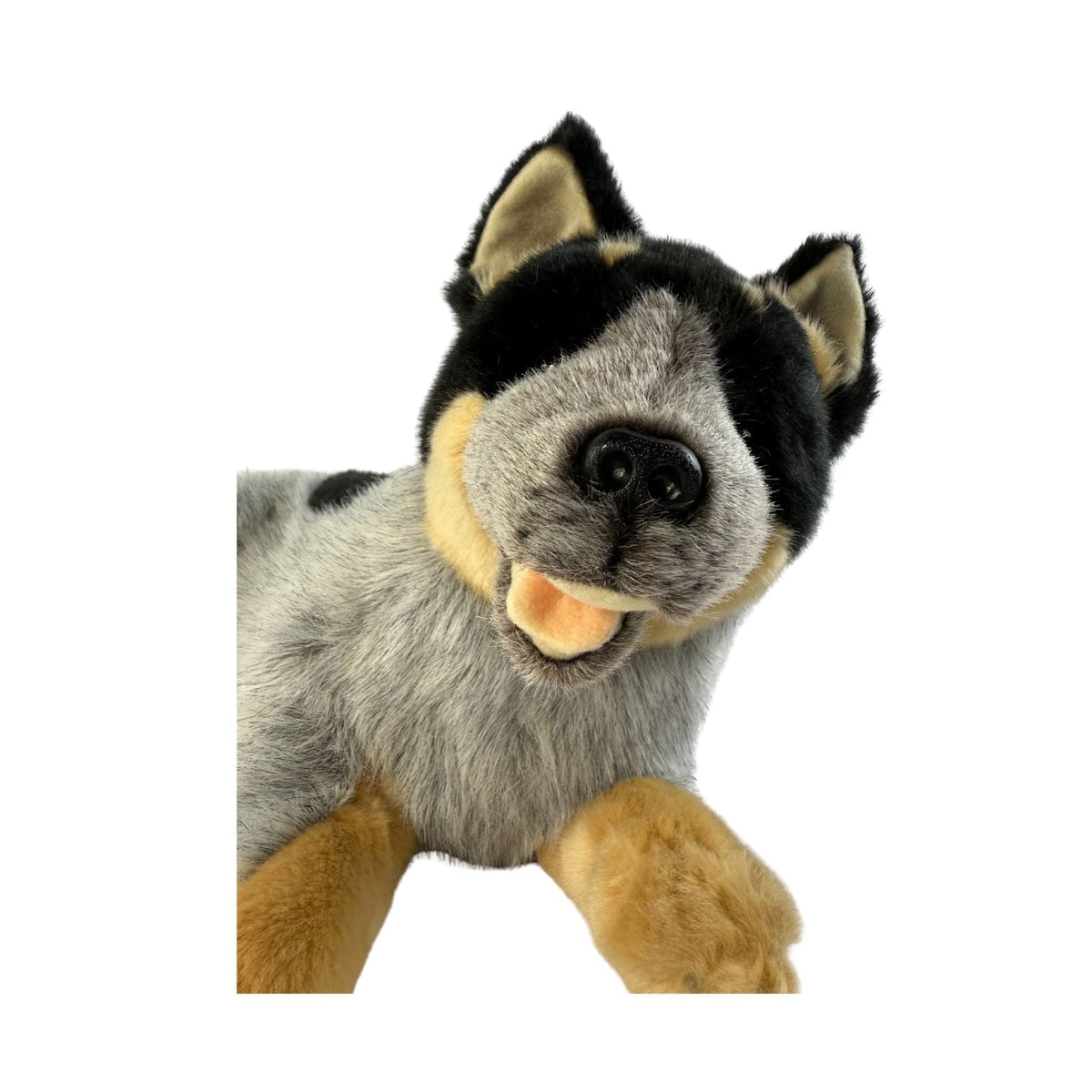 Bocchetta Gallagher 35cm Lying Blue Heeler Cattle Dog Plush Toy (Australian Stuffed Animal Gift)
