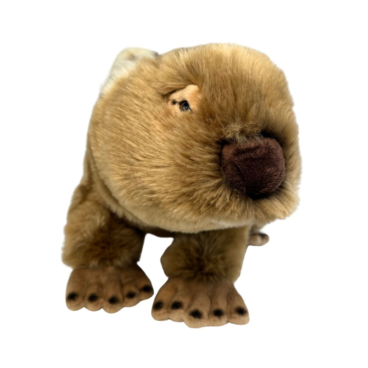 Bocchetta Georgina 42cm Wombat Plush Toy (Australian Stuffed Animal Souvenir Gift)
