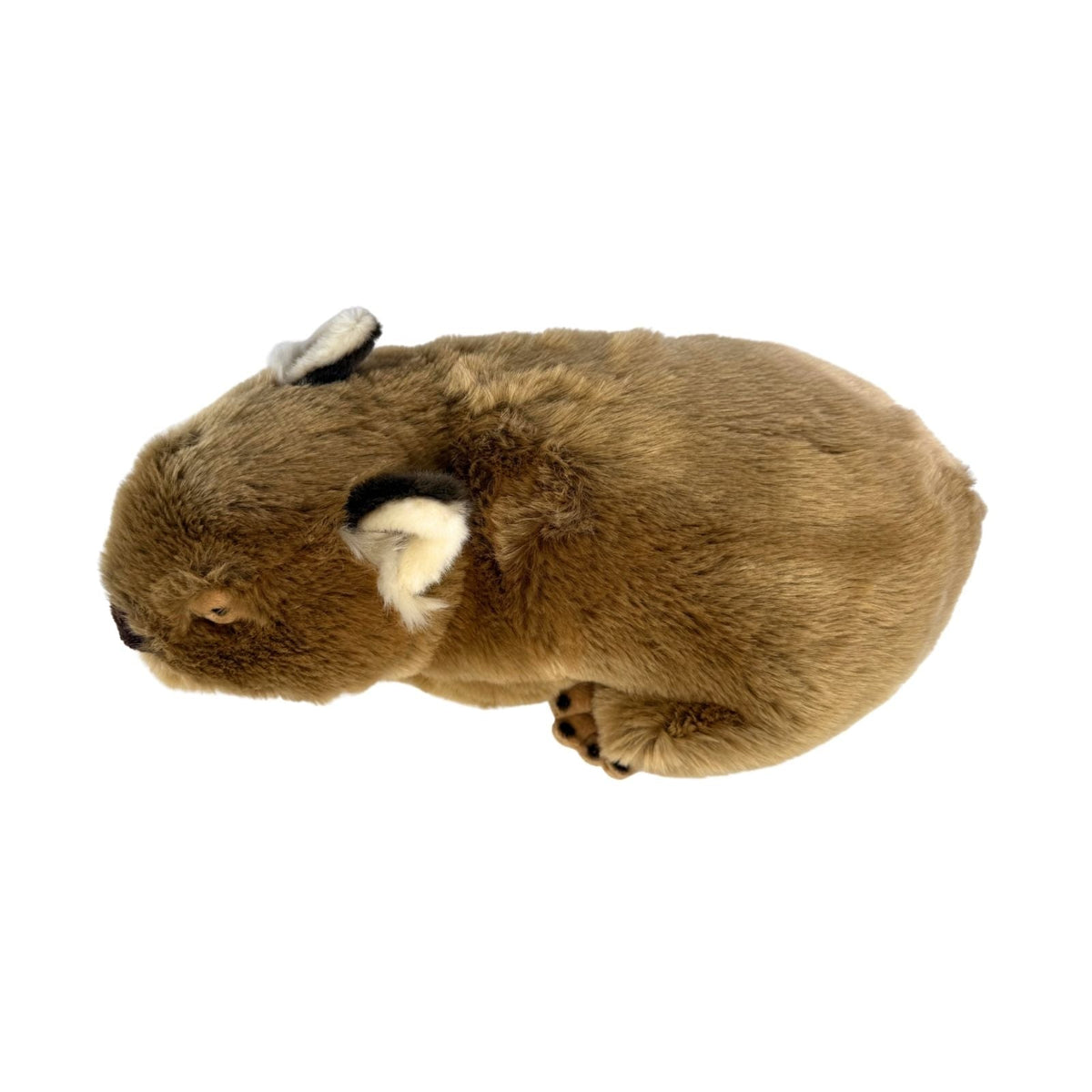 Bocchetta Georgina 42cm Wombat Plush Toy (Australian Stuffed Animal Souvenir Gift)