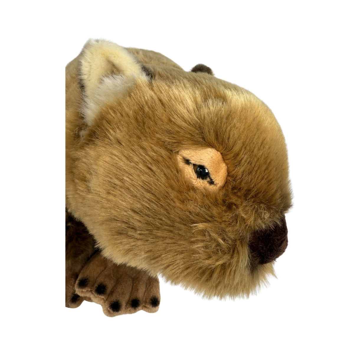Bocchetta Georgina 42cm Wombat Plush Toy (Australian Stuffed Animal Souvenir Gift)