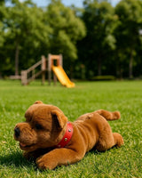 Bocchetta Gravy 28cm Floppy Staffy Puppy Plush Toy - Brown (Realistic Stuffed Animal Dog Gift)