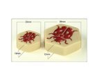 HIVE Pocket Board Game Home Party Entertainment Authentic & Original