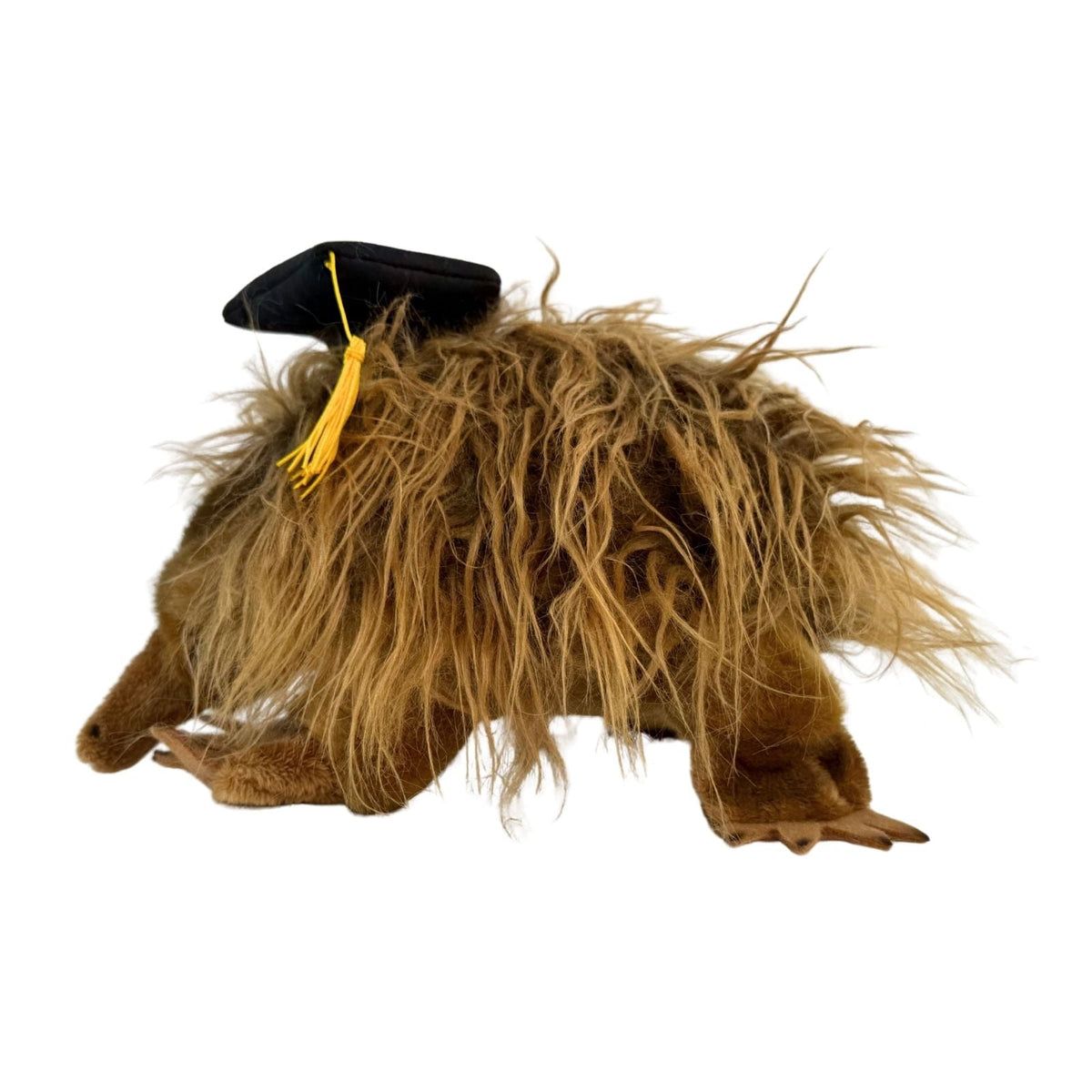 Bocchetta Harry 24cm Graduation Echidna Plush Toy (Stuffed Animal Grad Gift)