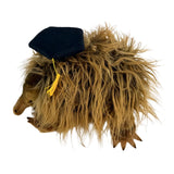 Bocchetta Harry 24cm Graduation Echidna Plush Toy (Stuffed Animal Grad Gift)
