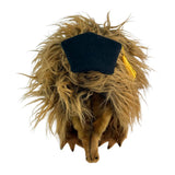Bocchetta Harry 24cm Graduation Echidna Plush Toy (Stuffed Animal Grad Gift)