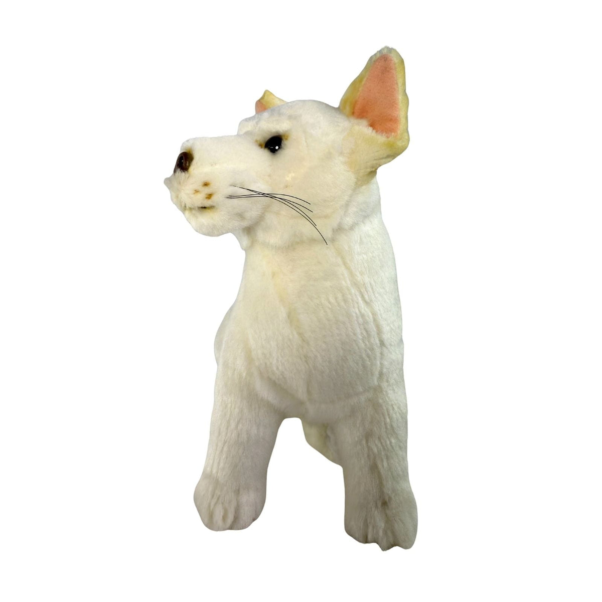 Bocchetta Ivory 25cm Sitting Dingo Plush Toy - White (Australian Stuffed Animal Souvenir Gift)