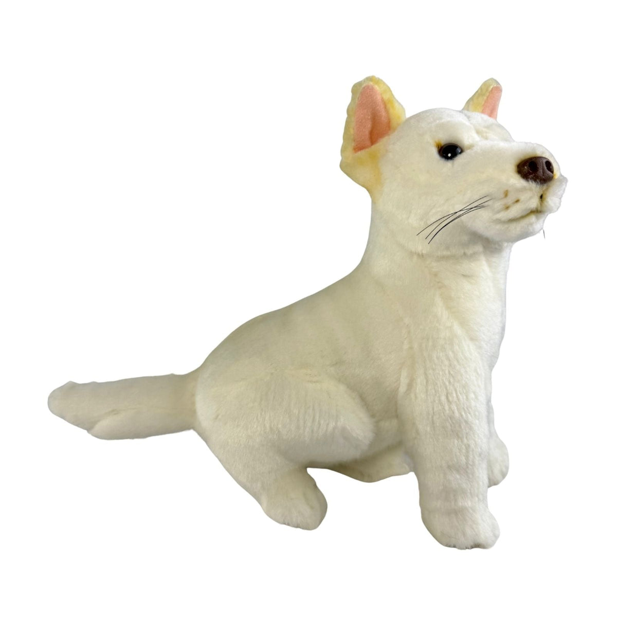 Bocchetta Ivory 25cm Sitting Dingo Plush Toy - White (Australian Stuffed Animal Souvenir Gift)
