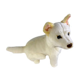 Bocchetta Ivory 25cm Sitting Dingo Plush Toy - White (Australian Stuffed Animal Souvenir Gift)