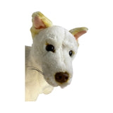 Bocchetta Ivory 25cm Sitting Dingo Plush Toy - White (Australian Stuffed Animal Souvenir Gift)