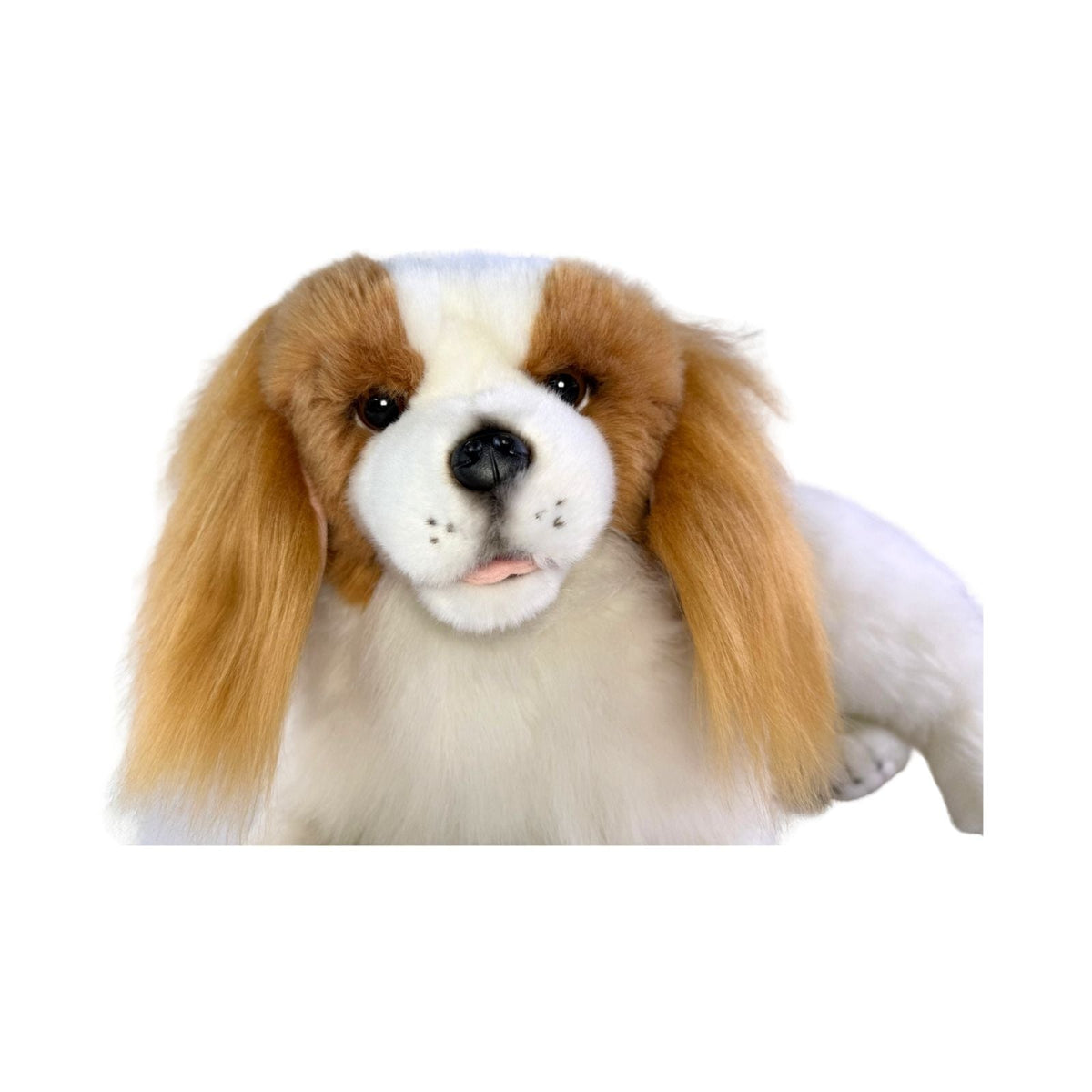 Bocchetta Izzy 40cm Lying Cavalier King Charles Spaniel Plush Toy - Brown (Realistic Stuffed Animal Dog Gift)