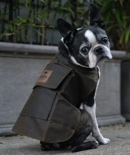 JACARU Wax Oil Skin Cotton Dog Coat Jacket Fully Lined Windbreaker Winter Vest - Brown