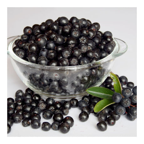 340g Diabetic Jam Aronia Chokeberry in Glass Jar - Product of Bulgaria (Chernoplodnaya Ryabina)