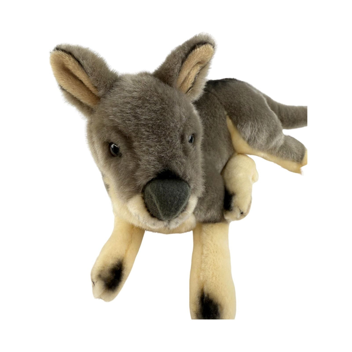 Bocchetta Joy 35cm Lying Grey Kangaroo Plush Toy (Australian Stuffed Animal Souvenir Gift)