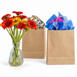72x Large Brown Kraft Paper Bags Bulk Pack - Gift Shopping Bags w/Handles (33x26x12cm)