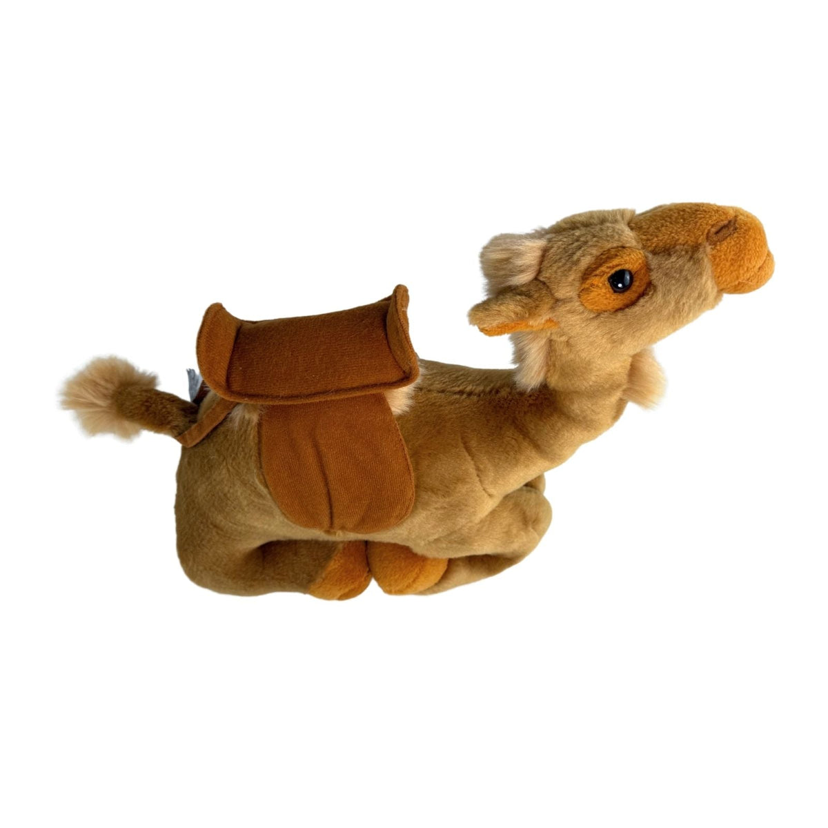 Bocchetta Kimba 34cm Lying Camel Plush Toy (Australian Stuffed Animal Souvenir Gift)