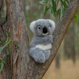 Bocchetta Kimmy 24cm Koala Hand Puppet Plush Toy (Australian Stuffed Animal Souvenir Gift)