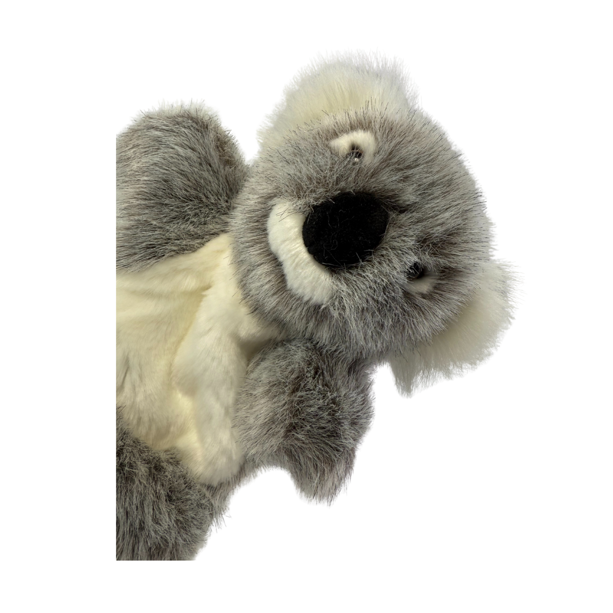 Bocchetta Kimmy 24cm Koala Hand Puppet Plush Toy (Australian Stuffed Animal Souvenir Gift)