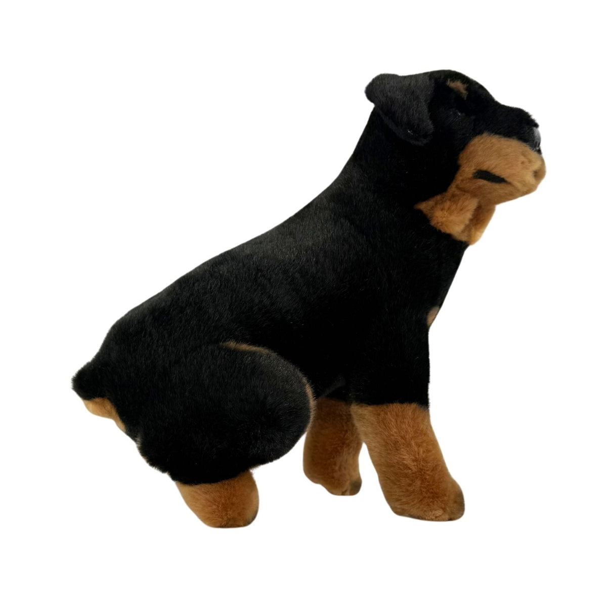 Bocchetta Koda 25cm Sitting Rottweiler Plush Toy (Realistic Stuffed Animal Dog Gift)