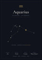 Aquarius Zodiac Black