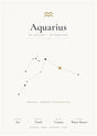Aquarius Zodiac White