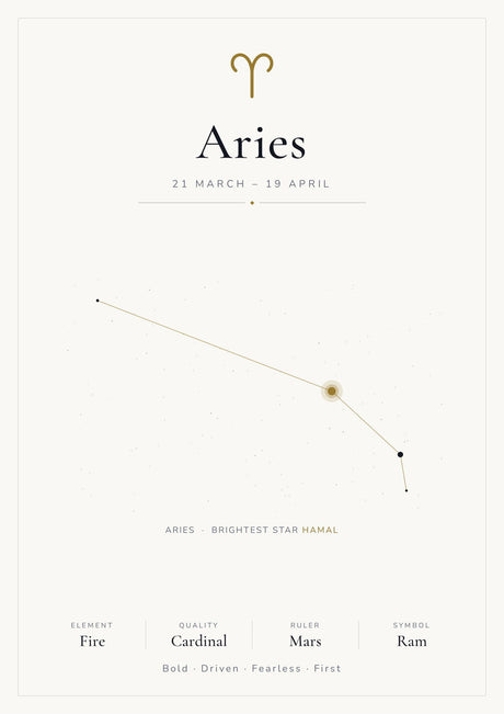 12-Pack Zodiac Constellations Educational Posters Set - White A4 Matte Laminated Prints (210x297mm)