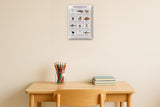 Australia's Dangerous Animals: A4 Matte Laminated Educational Poster Print - 210x297mm