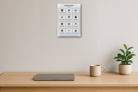 10-Pack Australian Wildlife Educational Posters Set - A4 Matte Laminated Prints (210x297mm)