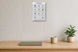 Australian Spiders: A4 Matte Laminated Educational Poster Print - 210x297mm