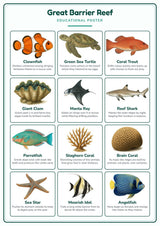 Great Barrier Reef: A4 Matte Laminated Educational Poster Print - 210x297mm